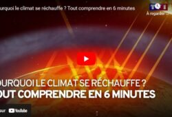 6 minutes