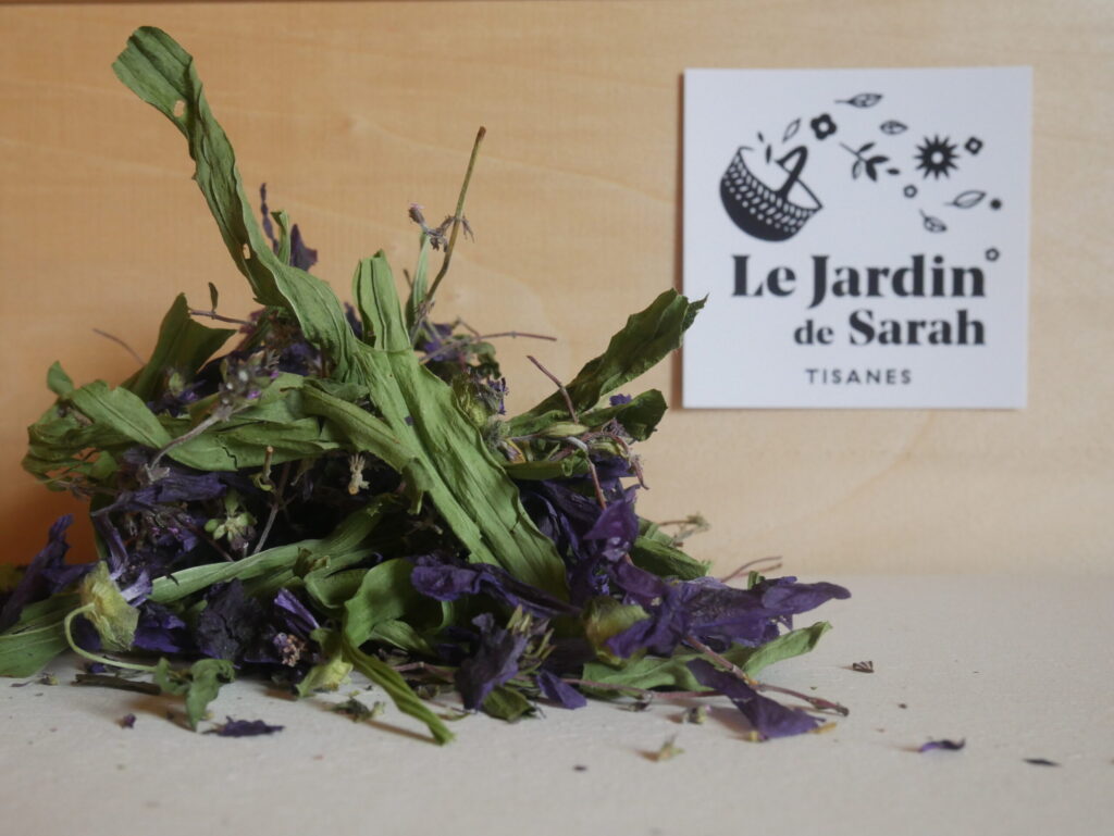 Une tisane pour soigner les maux de gorge. Crédit : le jardin de Sarah
