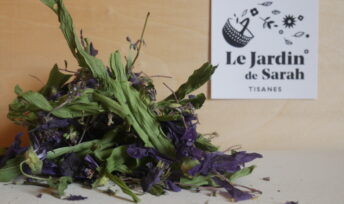 Une tisane pour soigner les maux de gorge. Crédit : le jardin de Sarah
