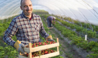Comment vous pouvez soutenir les agriculteurs en difficulté ? © Freepik