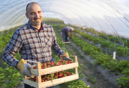 Contribuer à la transition agricole à l’échelle individuelle