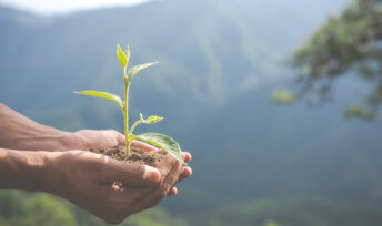 Pourquoi l'écologie n'est pas responsable de la crise agricole © Freepik