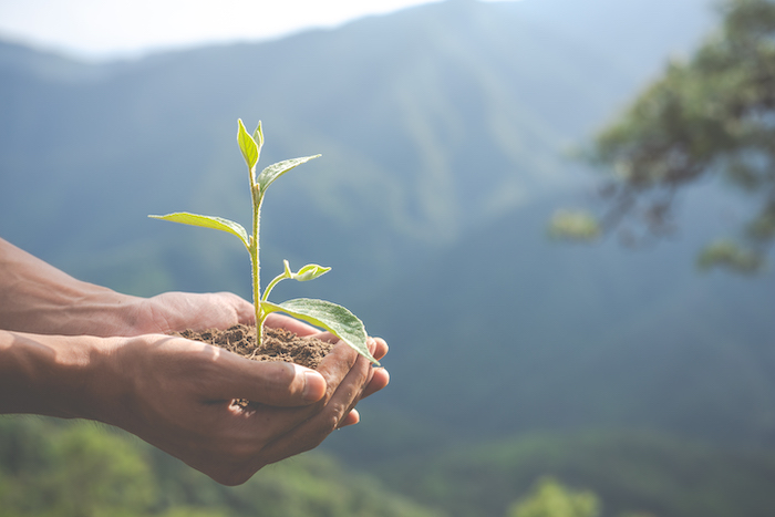 Pourquoi l'écologie n'est pas responsable de la crise agricole © Freepik