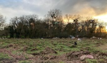Les opposants au projet d'autoroute ont investi le site de la "Crem’Arbre".