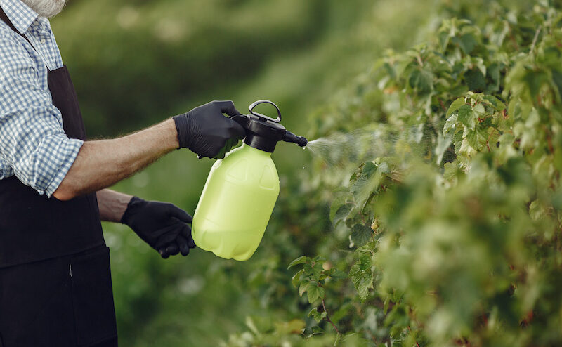 Glyphosate : toujours autorisé malgré de nombreuses études © Freepik