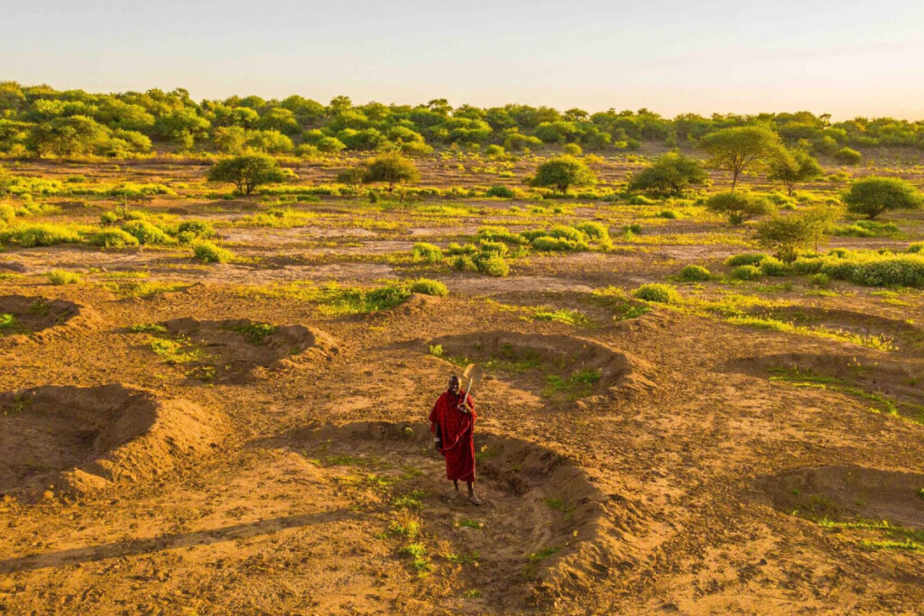 Des bunds en Tanzanie. Crédit : Just dig it