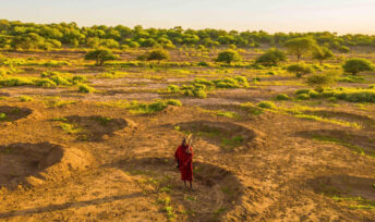 Des bunds en Tanzanie. Crédit : Just dig it