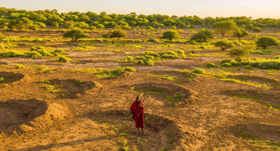 Des bunds en Tanzanie. Crédit : Just dig it