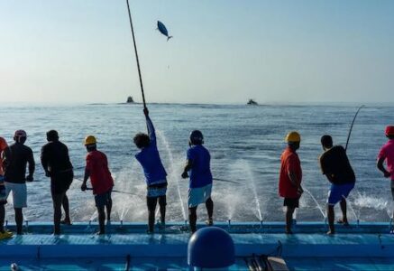 Le thon équitable et durable de Fish4ever