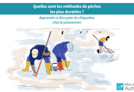 Quelles sont les méthodes de pêche les plus durables ?