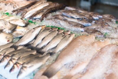 20% des poissons vendus en France encore issus de la surpêche
