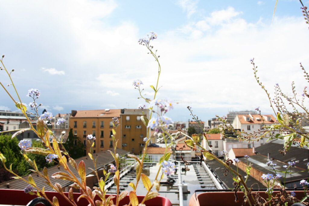 Etre écolo à la ville, c'est possible. Crédit : E.B