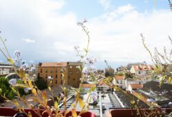 Ecolo des villes ?