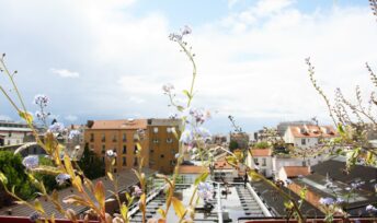 Etre écolo à la ville, c'est possible. Crédit : E.B