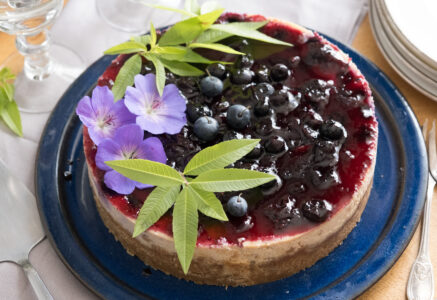 Cheesecake aux myrtilles
