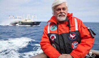 La détention de Paul Watson prolongée jusqu'au 2 octobre © Sea Sheperd France