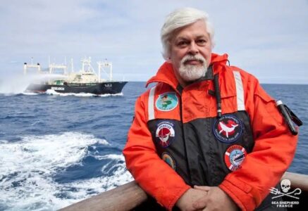 La détention de Paul Watson prolongée jusqu’au 2 octobre