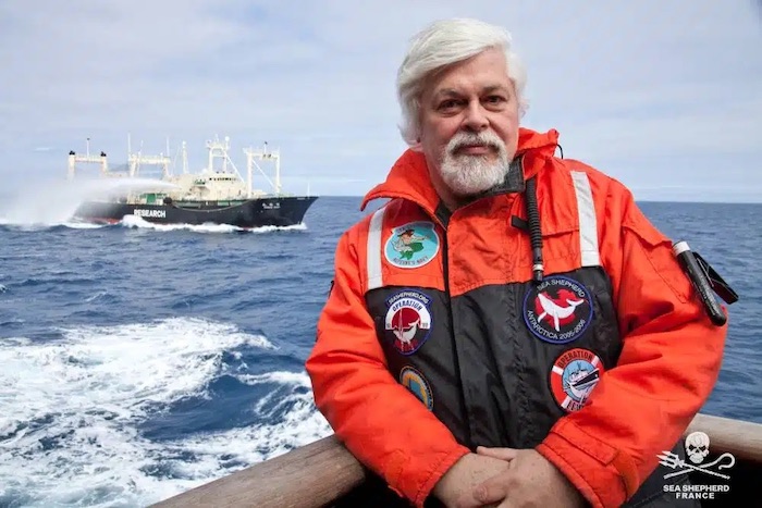 La détention de Paul Watson prolongée jusqu'au 2 octobre © Sea Sheperd France