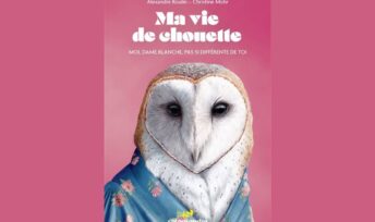 La-vie-de-chouette. La Salamandre.