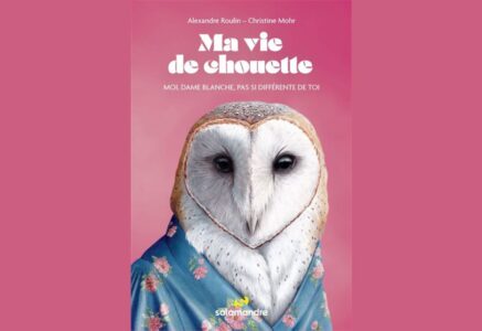 Sacrée vie de chouette