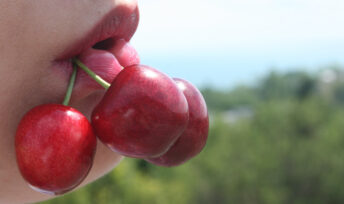 D'après Générations Futures, 93.8% des échantillons de cerise présentaient au moins un résidu de pesticides quantifié. Crédits : domaine public