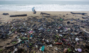 Des bénévoles de Green Peace nettoient la plage de Nai Yang, en Thaïlande, 2016 © Chanklang Kanthong / Greenpeace