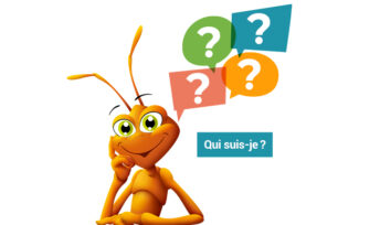 Tout savoir sur les piles !