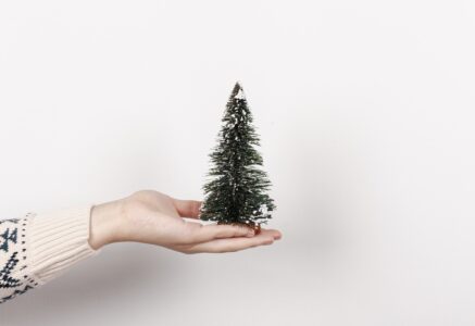 Le sapin synthétique, une fausse bonne idée écolo