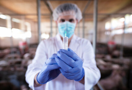 Peut-on se passer de l’expérimentation animale ?