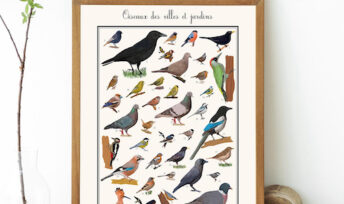 Affiche des oiseaux des villes et jardins © La ligue de protection des oiseaux