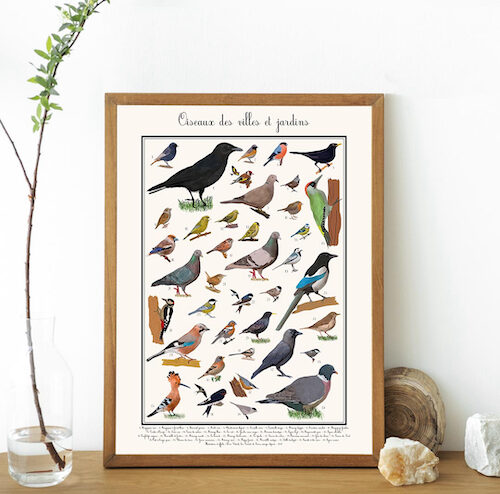 Affiche des oiseaux des villes et jardins © La ligue de protection des oiseaux
