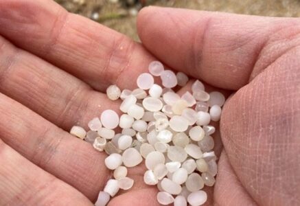 250 000 tonnes de « larmes de sirène » dans les eaux chaque année