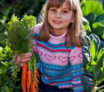 Connaître les légumes et fruits d’hiver