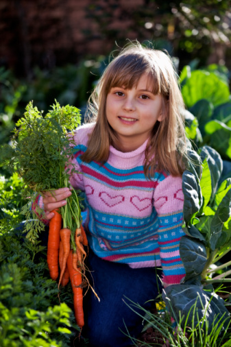 Avec les bonnes recettes, les légumes et fruits d'hiver régaleront aussi les plus petits.