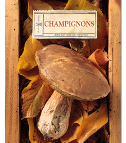 Un ouvrage complet pour découvrir les secrets des champignons.