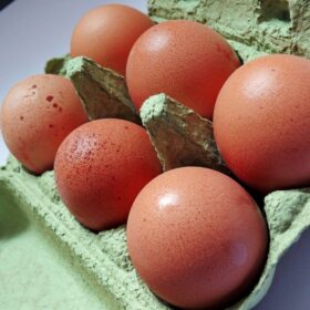 L'emballage des œufs ne permet pas toujours de déterminer aisément leur mode de production.