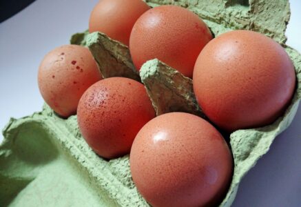 Comment bien choisir ses œufs ?