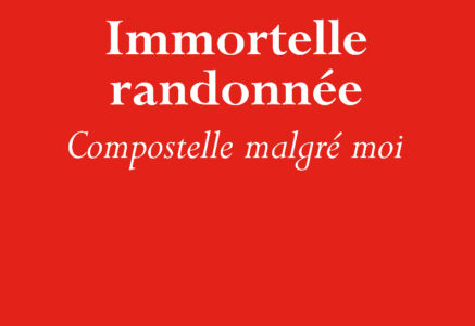 Immortelle randonnée, de Jean-Christophe Rufin