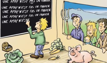 Une AMAP, c'est bien plus qu'un panier hebdomadaire de fruits et légumes !