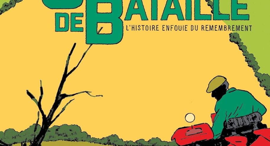 Champs de bataille : l'Histoire enfouie du remembrement © Editions Delcourt
