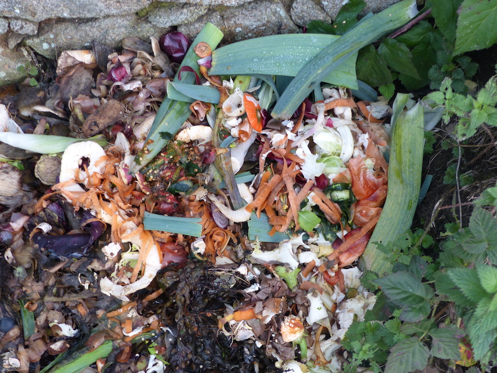 Les déchets à mettre dans le compost © Wikimedia Commons