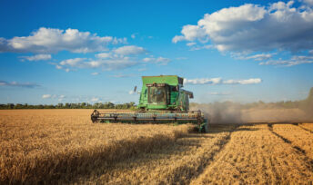 43 % des terres agricoles françaises sont dédiées à l'exportation. Crédits Oleksandr Ryzhkov