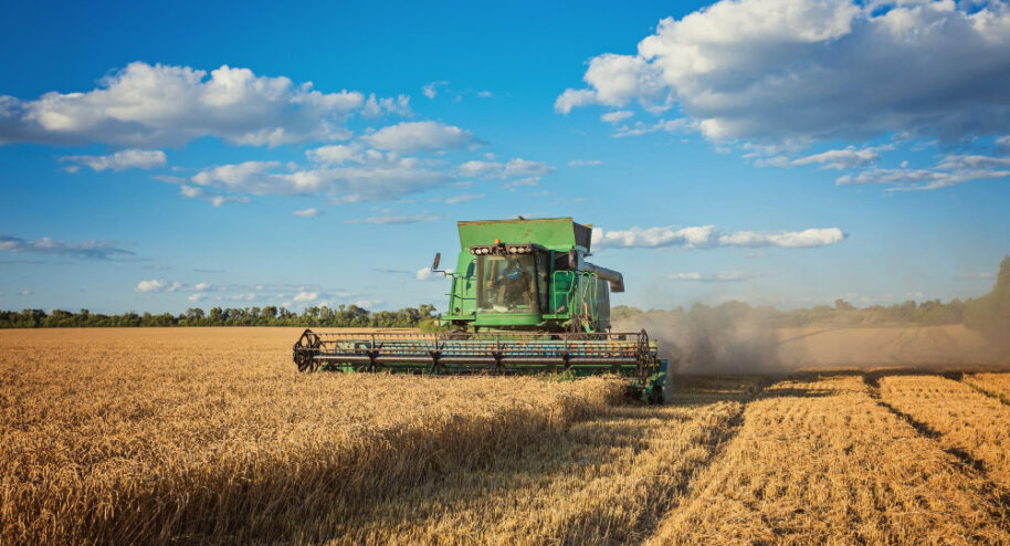 43 % des terres agricoles françaises sont dédiées à l'exportation. Crédits Oleksandr Ryzhkov