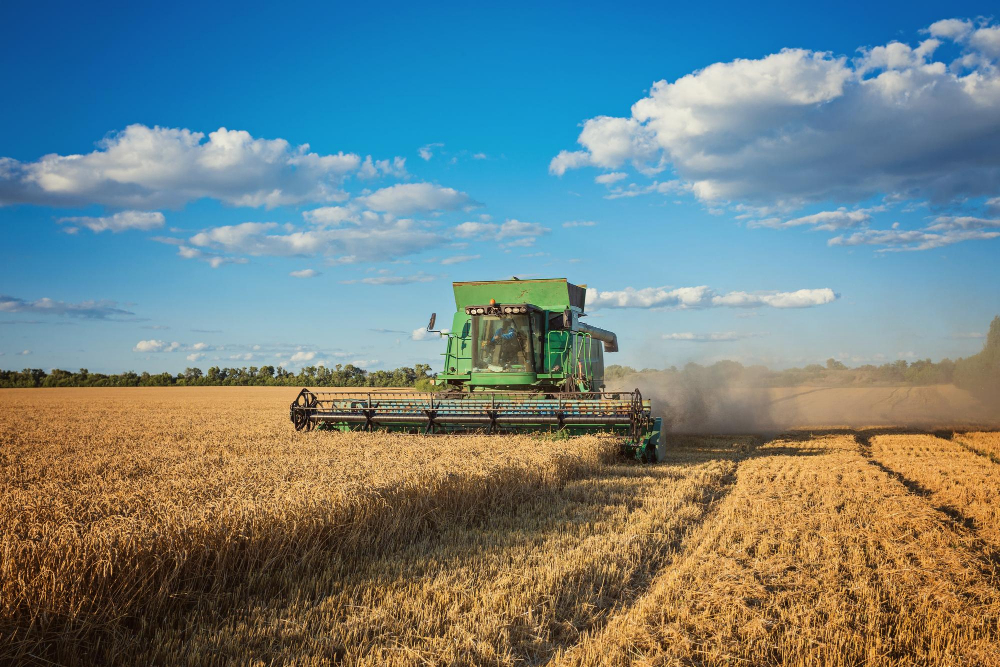 43 % des terres agricoles françaises sont dédiées à l'exportation. Crédits Oleksandr Ryzhkov