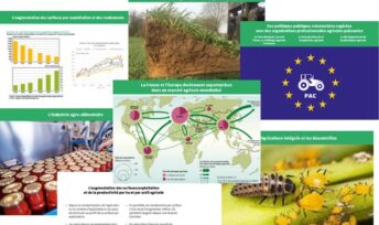 L'atelier des agricultures durables. Crédits : Terravita Project.