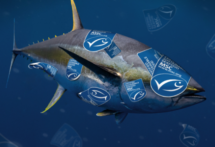 Peut-on se fier au label MSC ?