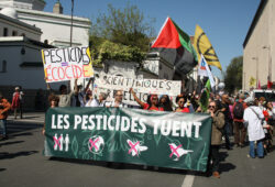 En rébellion