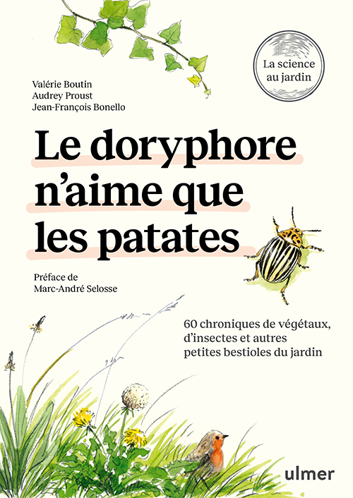 Le Doryphore n’aime que les patates