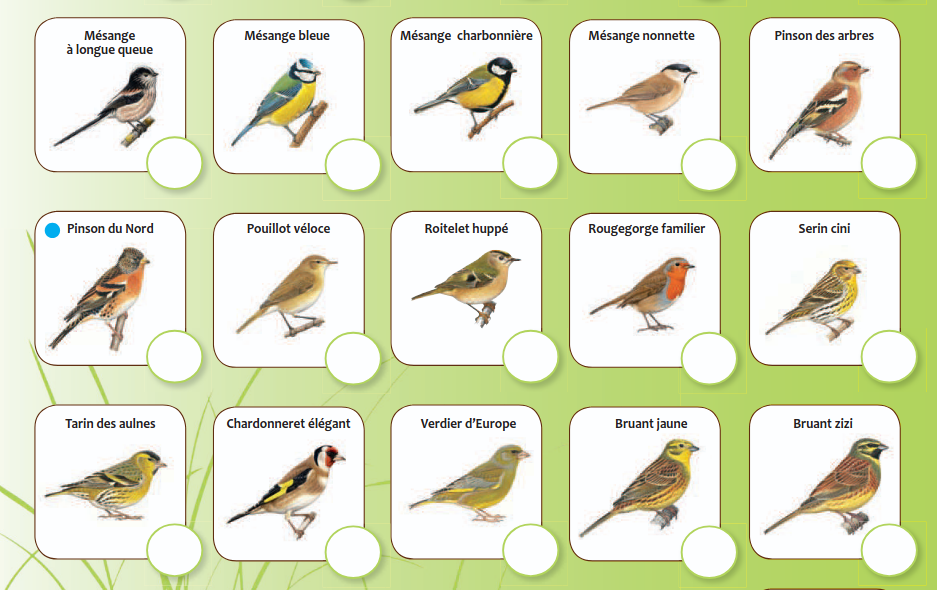 Voici un extrait de la fiche d'identification qui permet de savoir quel oiseau se pose sur votre balcon. Crédit : LPO