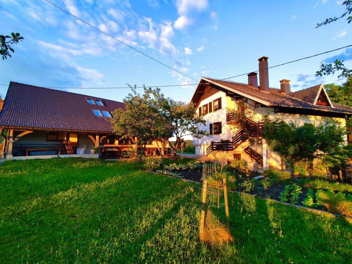 En Slovénie, séjour au calme dans un joli gîte